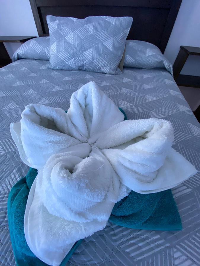 Twin Palms Lodge モンテベルデ エクステリア 写真