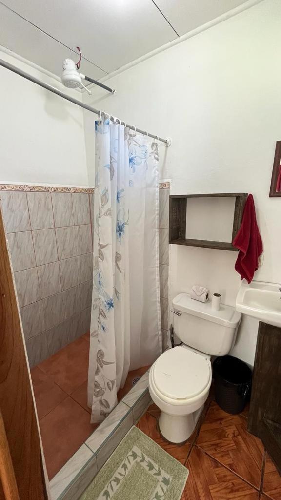 Twin Palms Lodge モンテベルデ 部屋 写真