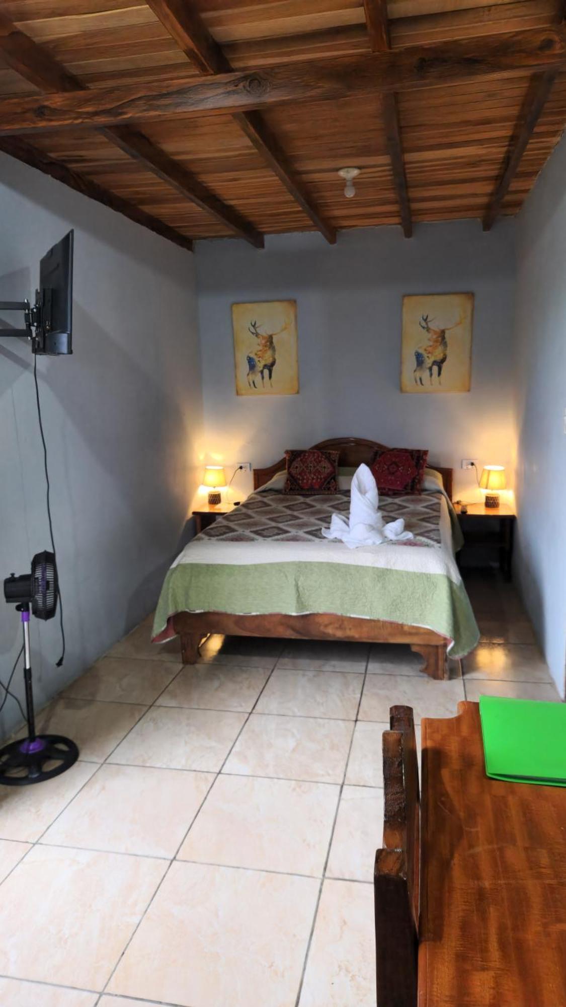 Twin Palms Lodge モンテベルデ 部屋 写真